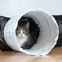 Тоннели для кошек