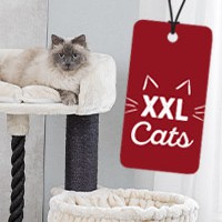 XXL Cats