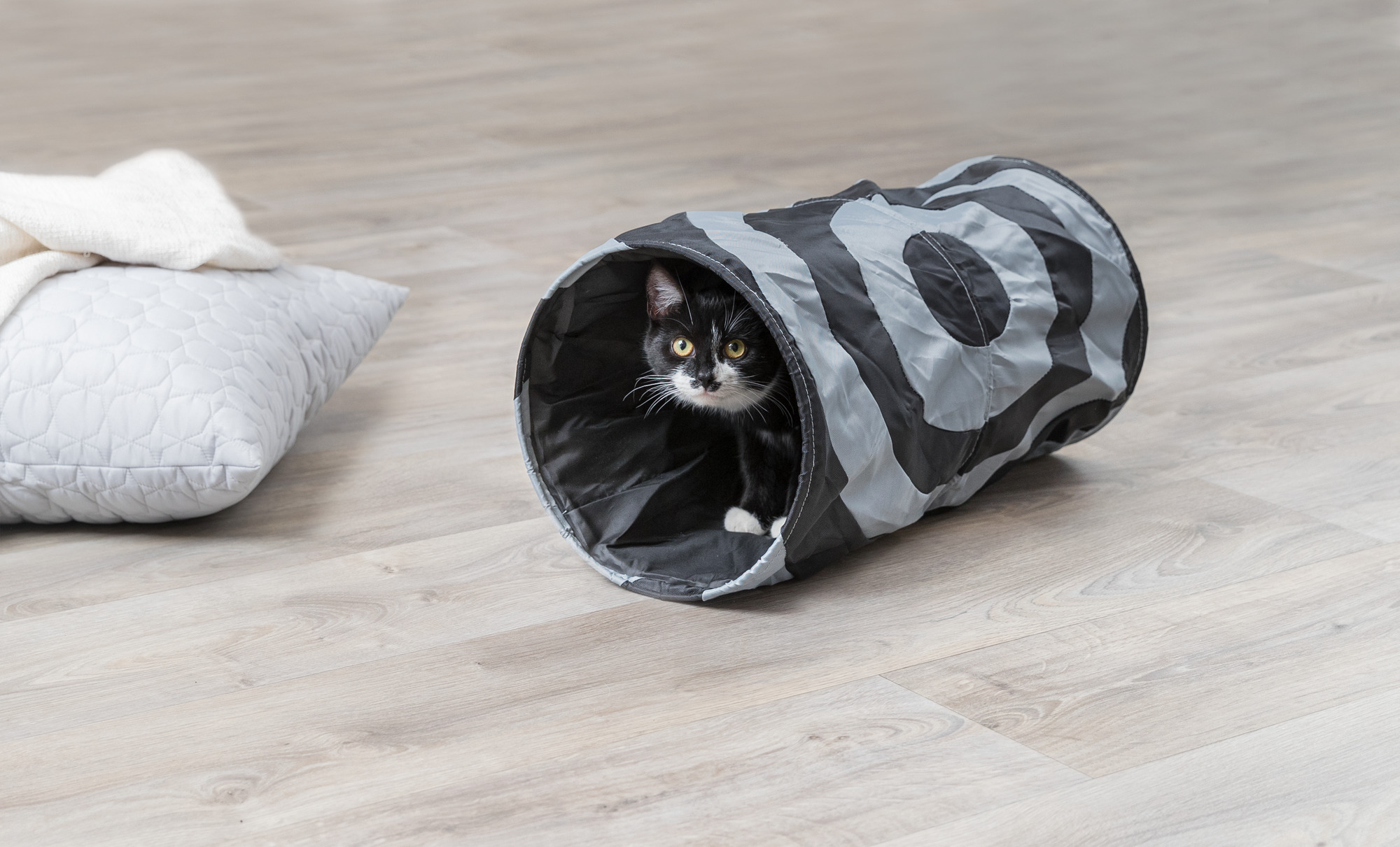 Тоннель для кошки шуршащий