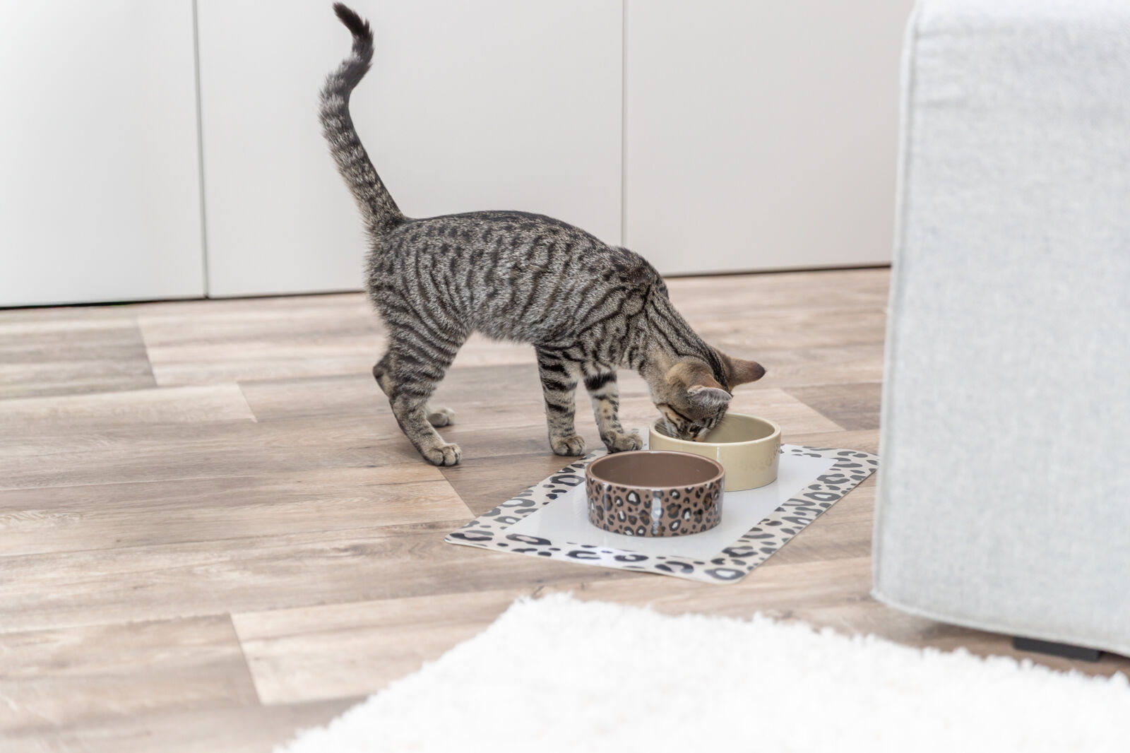 Миска керамическая, в ассортименте