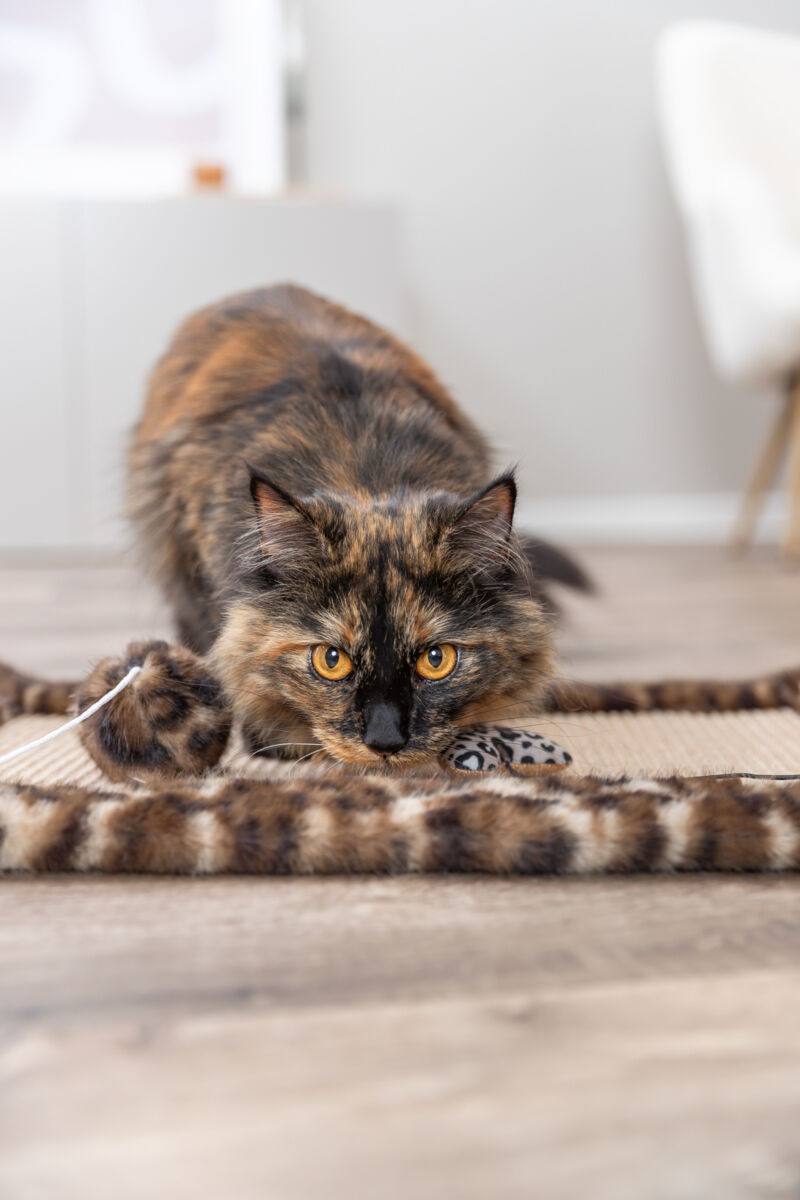 Удочка -дразнилка 