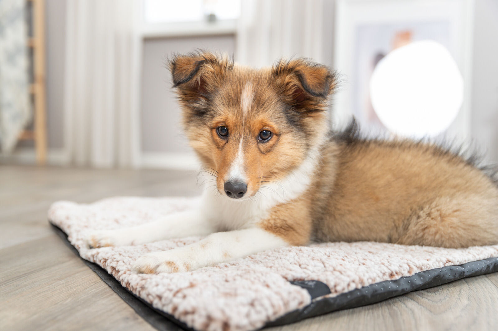 Лежак Calida с теплоотражающей вставкой