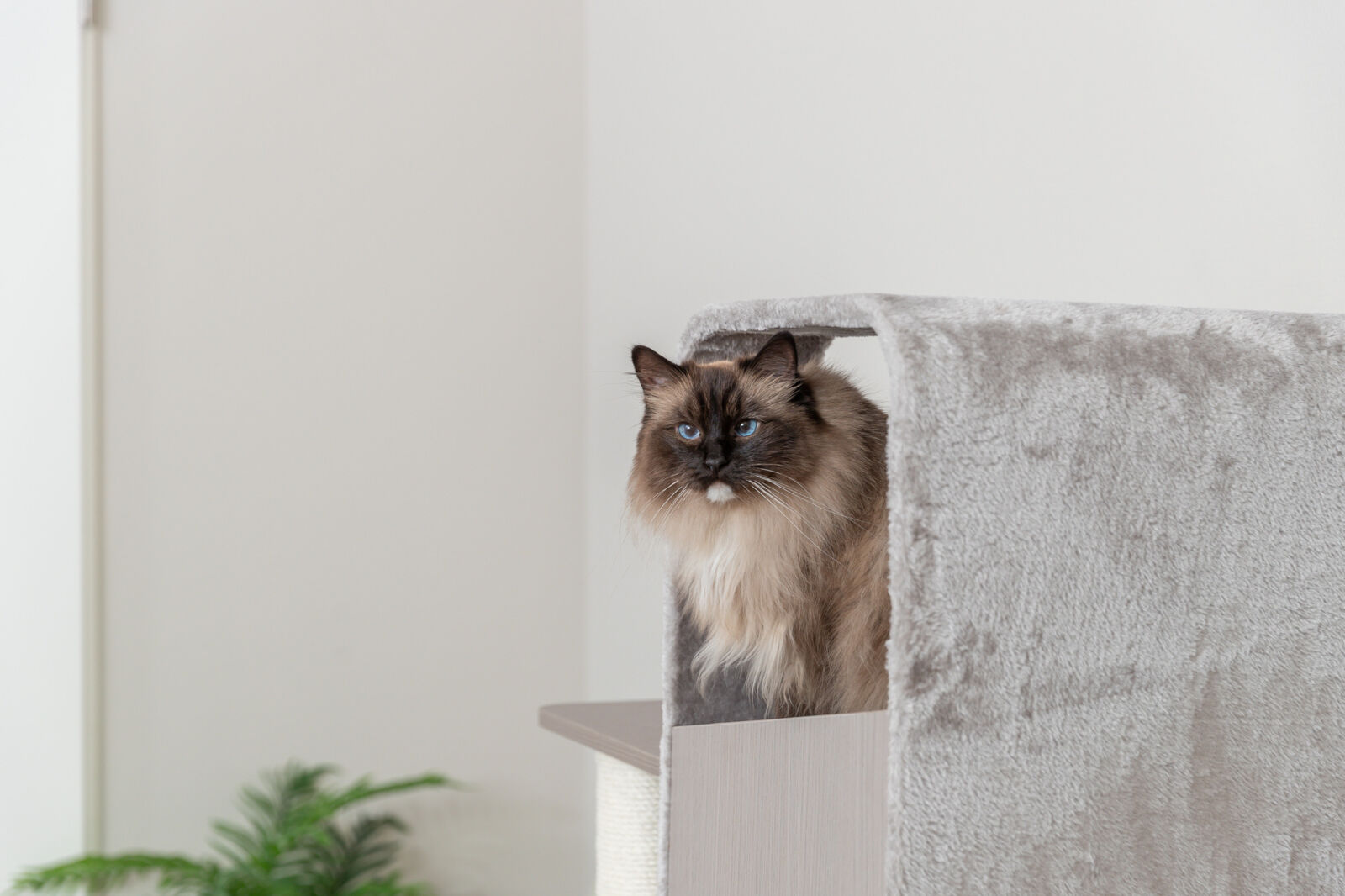 Домик для кошки Marina, серый