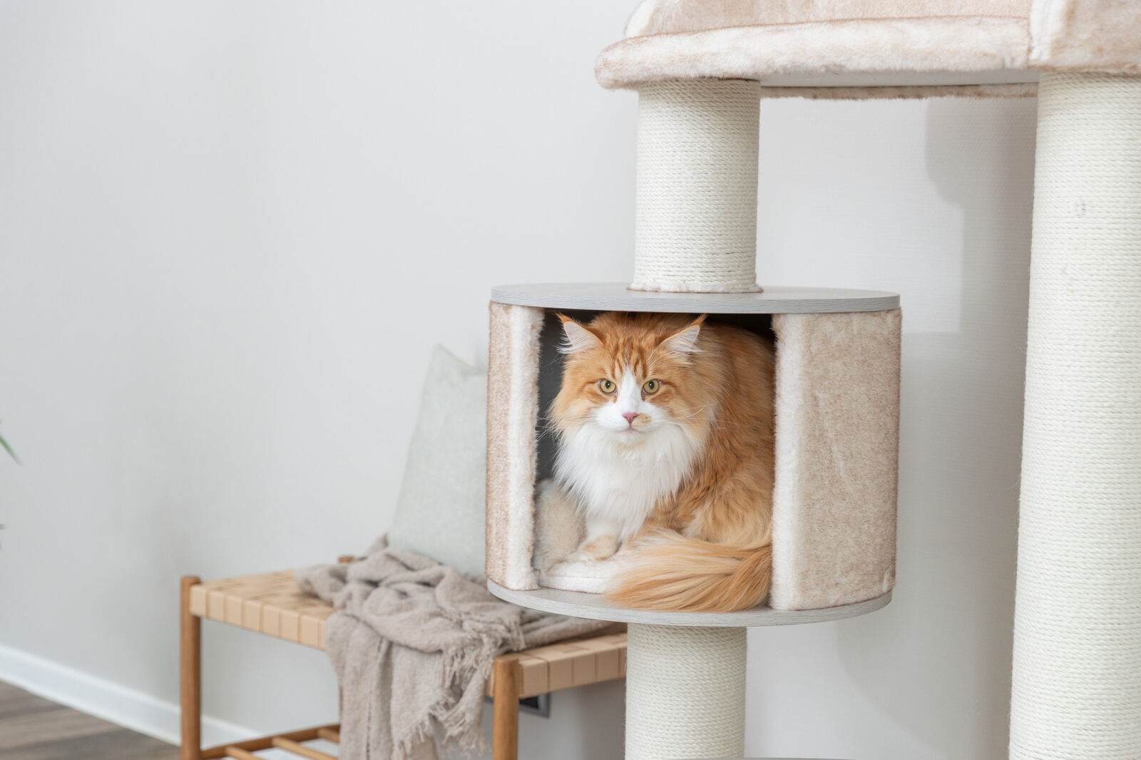 Домик для кошки Kiara XXL, кремовый