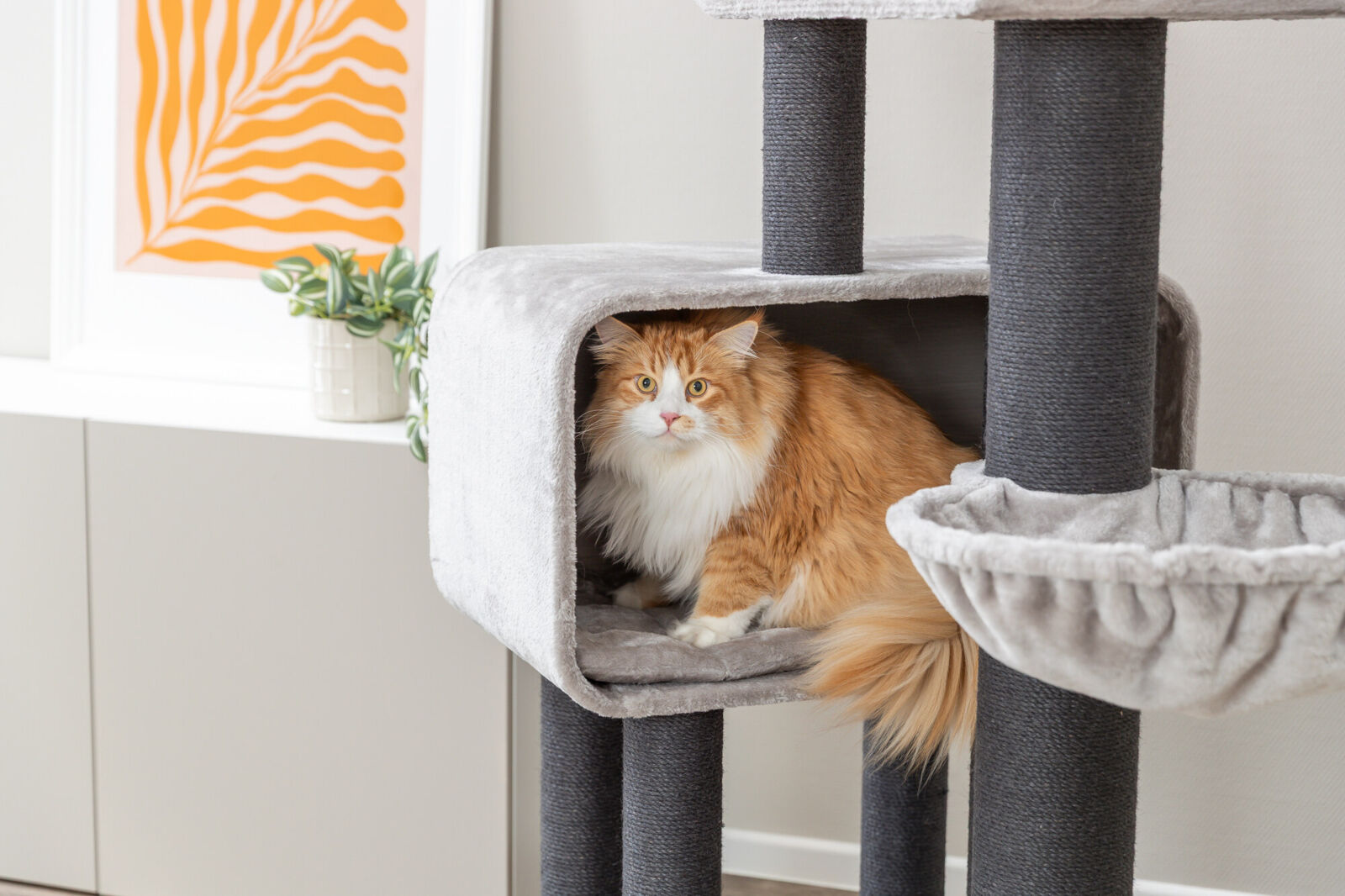 Домик для кошки Rafael XXL, серый