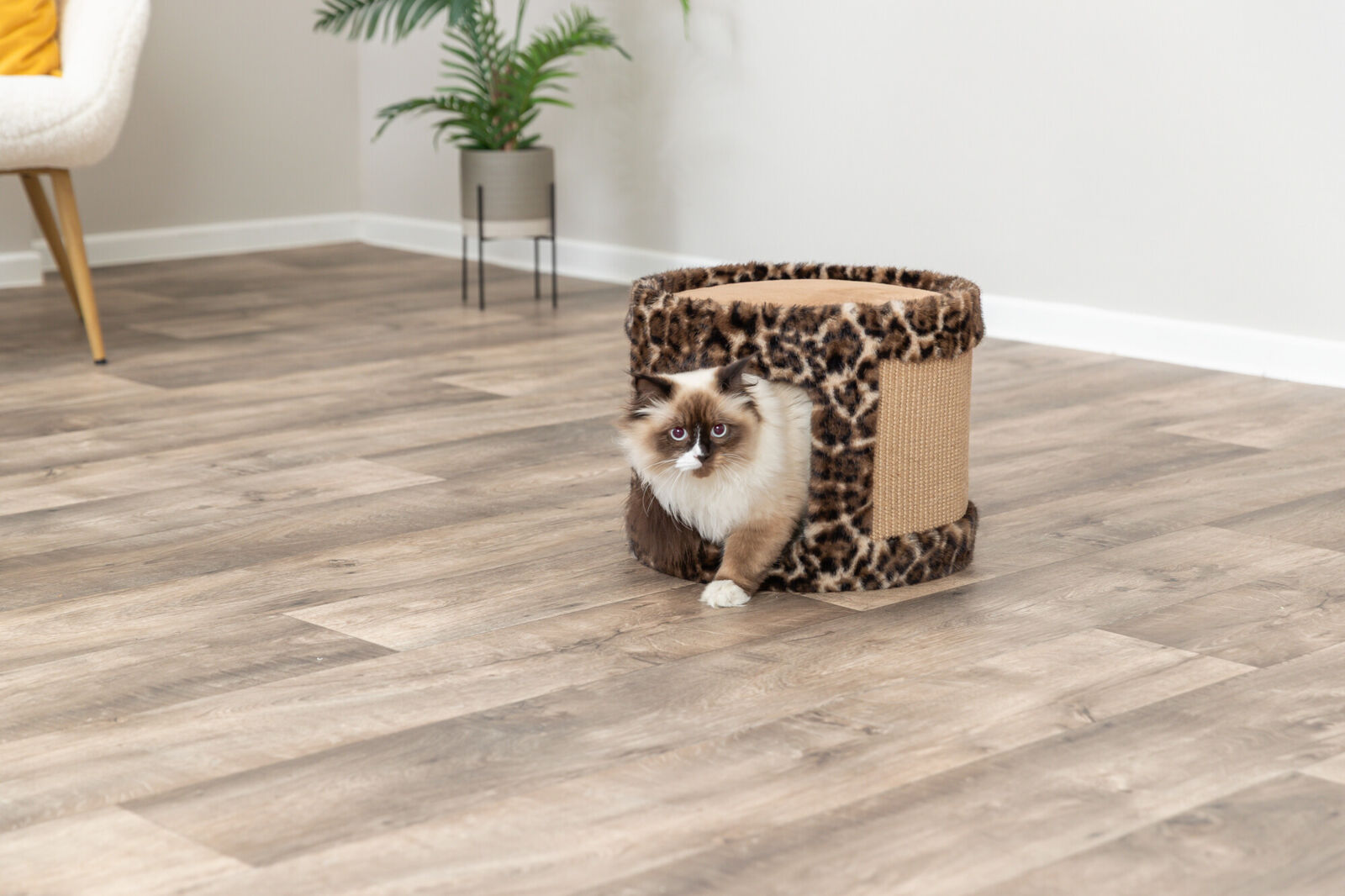 Домик-когтеточка Leo, круглый