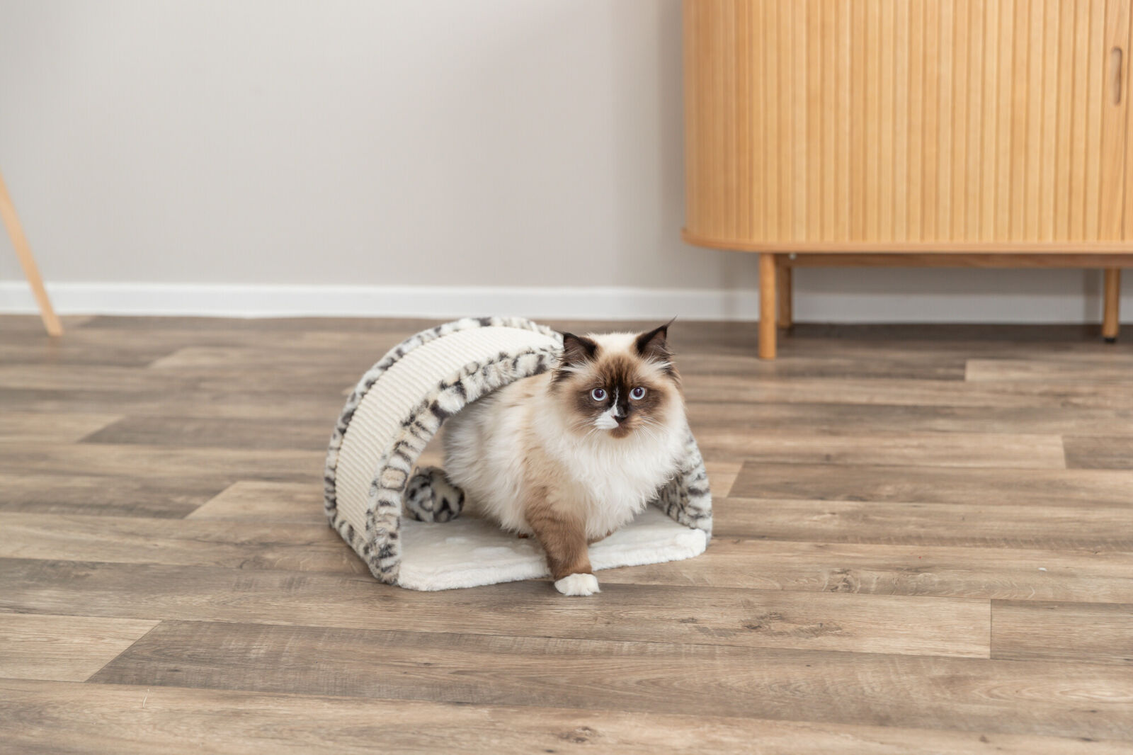 Когтеточка - мостик Leo