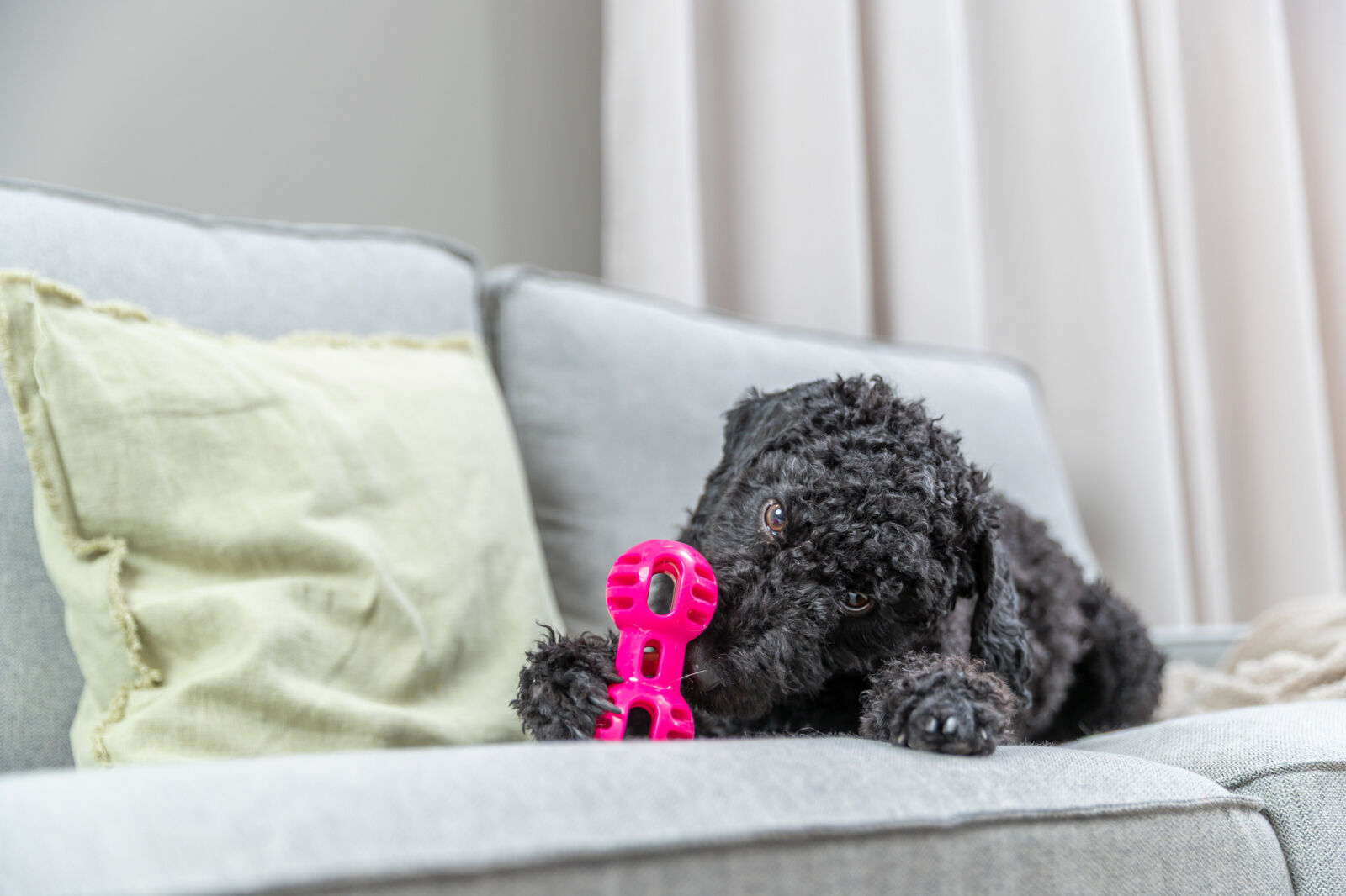 Игрушка для собак Гантель суперпрочная, ТПР, розовый