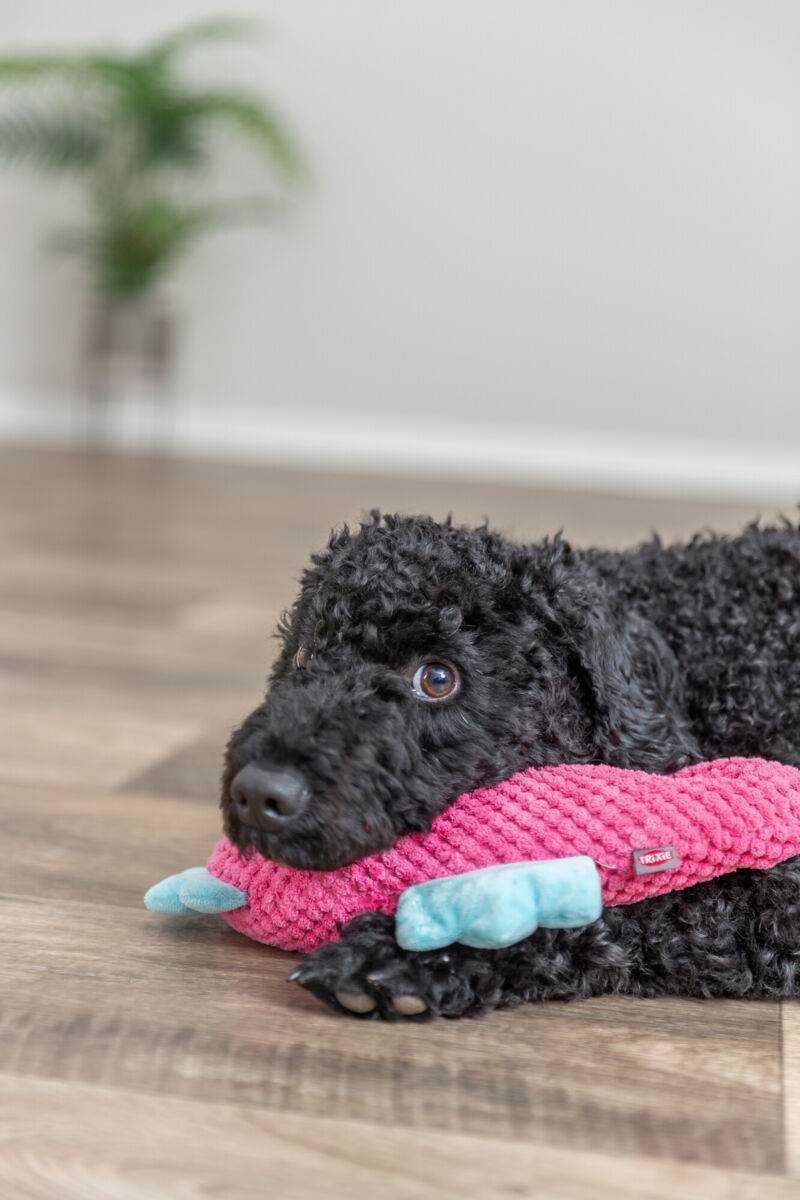 Игрушка для собак Морской Конёк, плюш