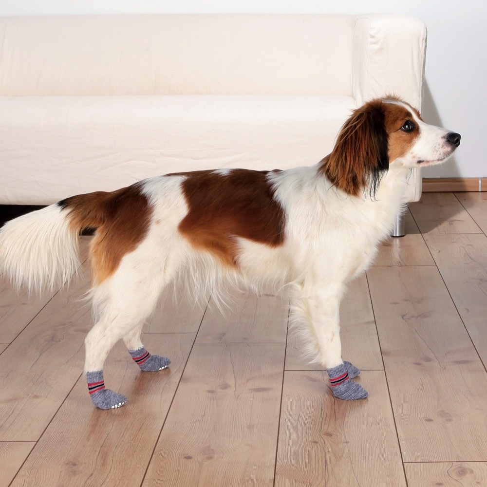 Носки для собак, нескользящие