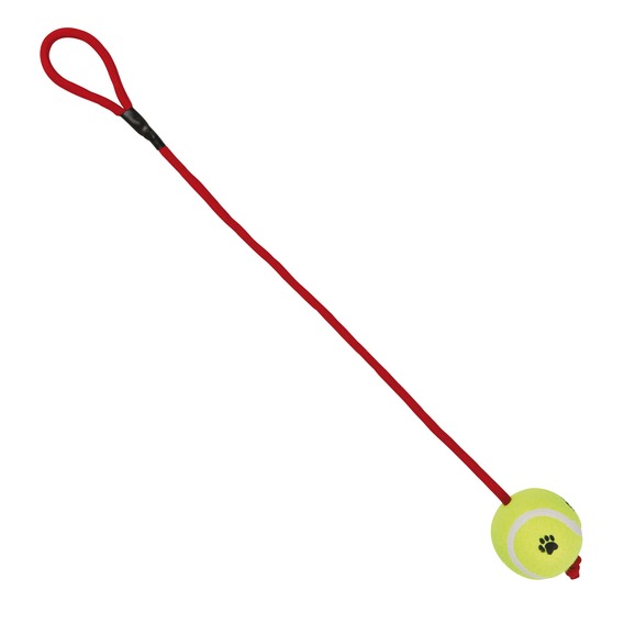 Теннисный мяч на верёвке