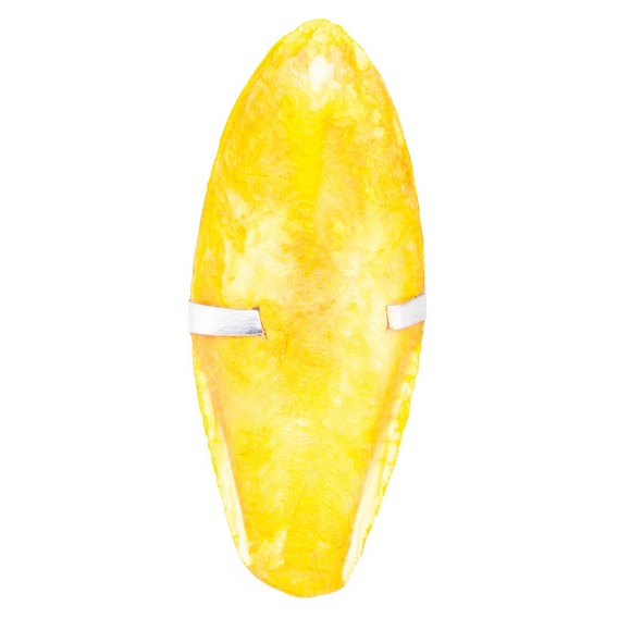 Панцирь каракатицы 24 шт. (ванильный, лимонный)