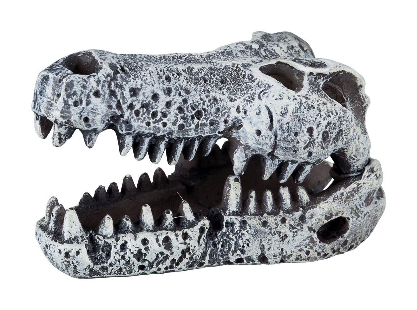 Грот черепа динозавров, в ассортименте,  6 см, набор 6 шт.
